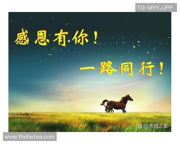 张帆的奋斗之路：从平凡到卓越的成长故事与人生启示