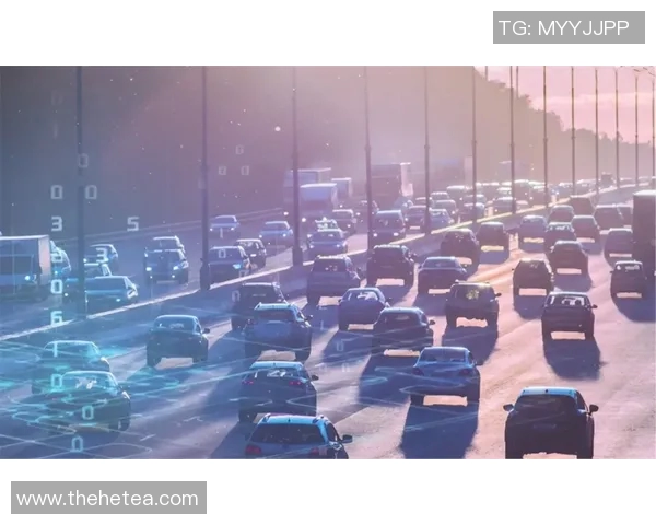 张骋宇的成长之路与未来发展展望：从学术到实践的多元探索与创新