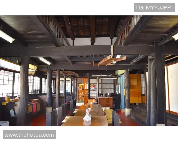 歧阜与赞歧的对话：探讨文化差异与交流的深层意义