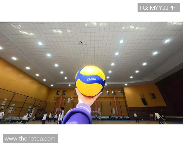 杭州排球队排球意识创新高引发全国关注与热议MBA