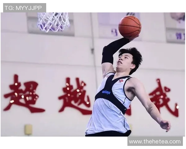 上海男篮与辽宁队精彩对决全场录像回放及精彩瞬间分析