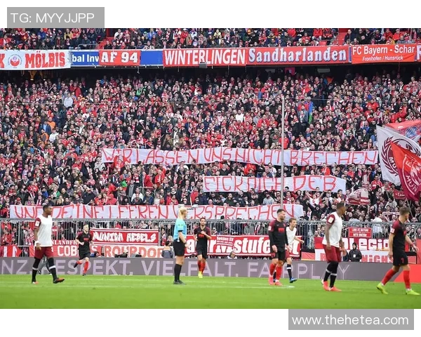 德乙焦点战圣保利主场迎战纽伦堡期待精彩对决 德乙焦点战圣保利主场迎战纽伦堡期待精彩对决