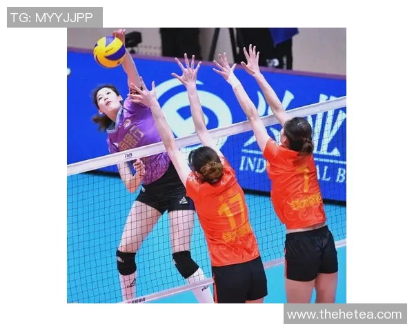 排球盛宴：深入解析西安排球队的团队协作与默契配合之道