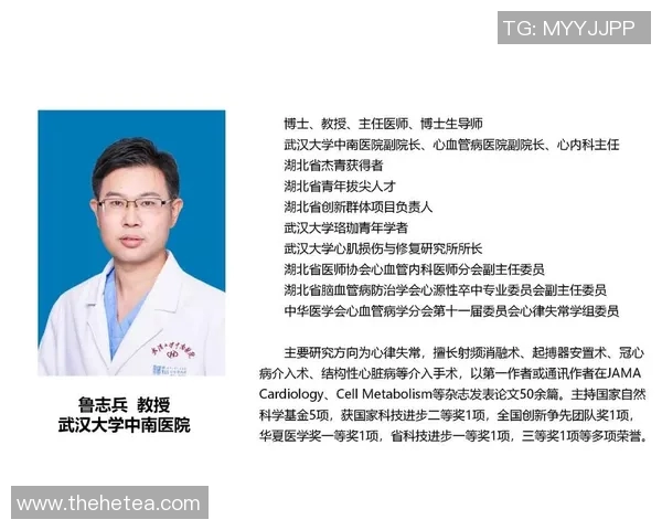 武汉排球队现状分析与未来展望聚焦排球运动发展与团队建设