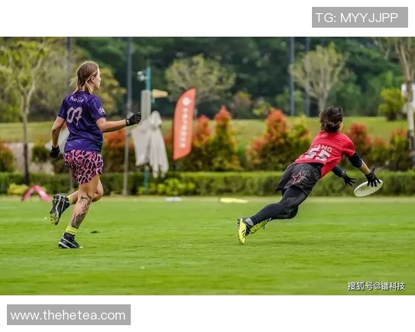 深入探讨北京飞盘队的比赛节奏与表现分析方法及其影响因素